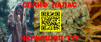 крисы Обь