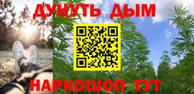 стаф Обнинск