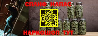 крисы Обь