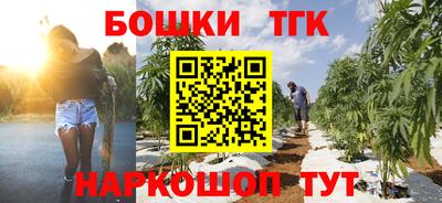 крисы Обь