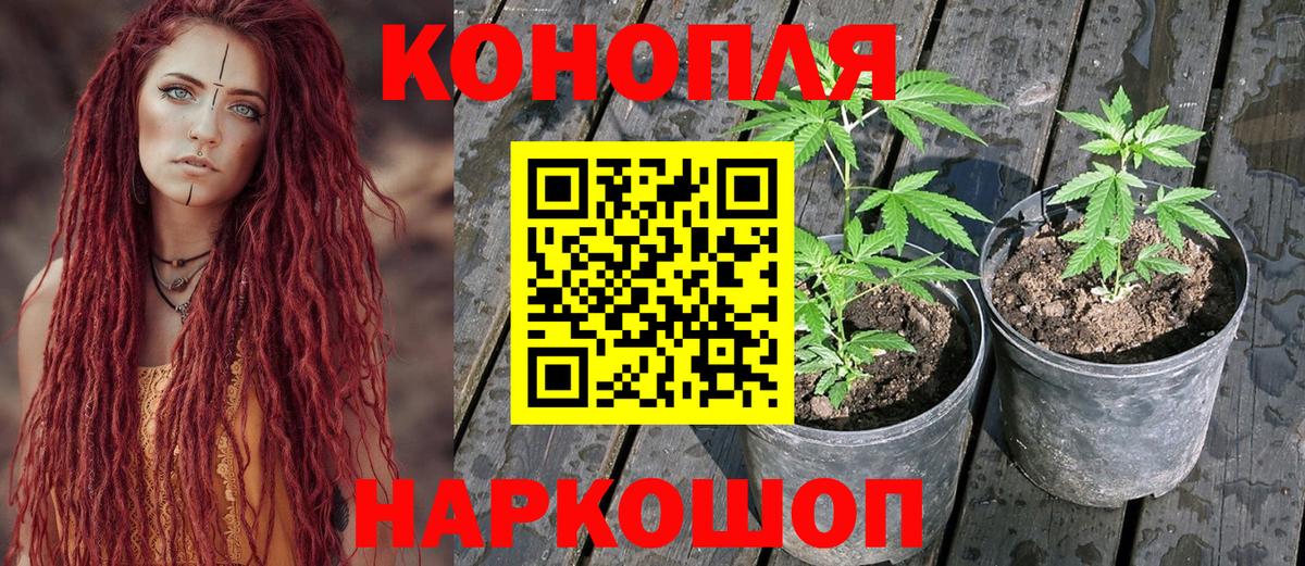 Каннабис Ganja  Бошки Шишки индика  Вход с VPN  Бошки марихуана сатива  Спасск-Дальний 